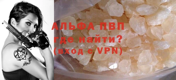амф Ельня