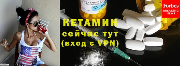 амф Ельня