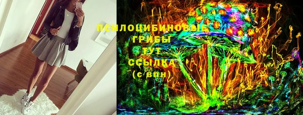 прущие крисы Елабуга