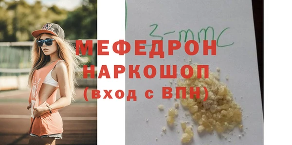 амф Ельня