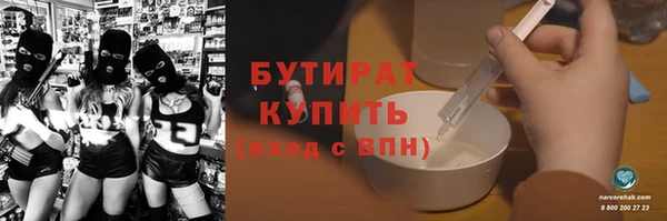 амф Ельня