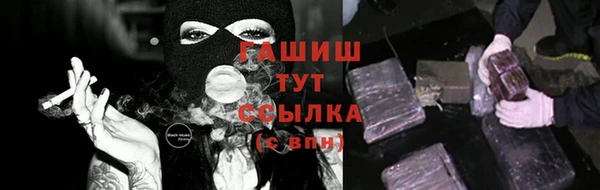 амф Ельня