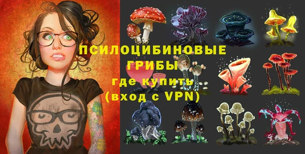 крисы Елизово