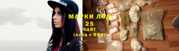 амф Ельня
