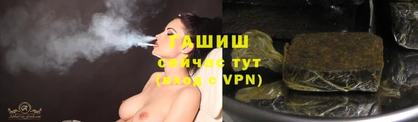 амф Ельня
