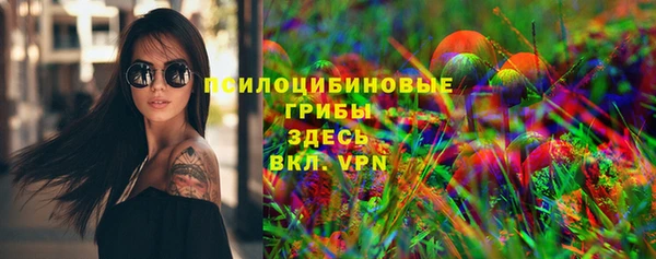 амф Ельня