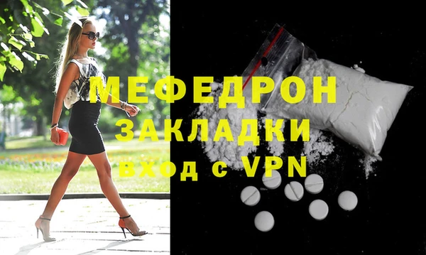 амф Ельня