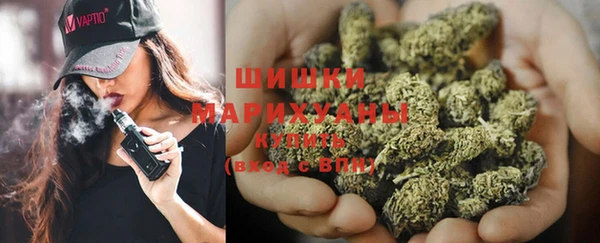амф Ельня