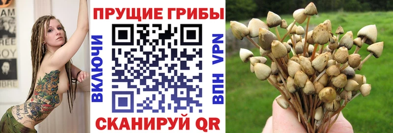 Галлюциногенные грибы Psilocybe  Купить  Ялта 